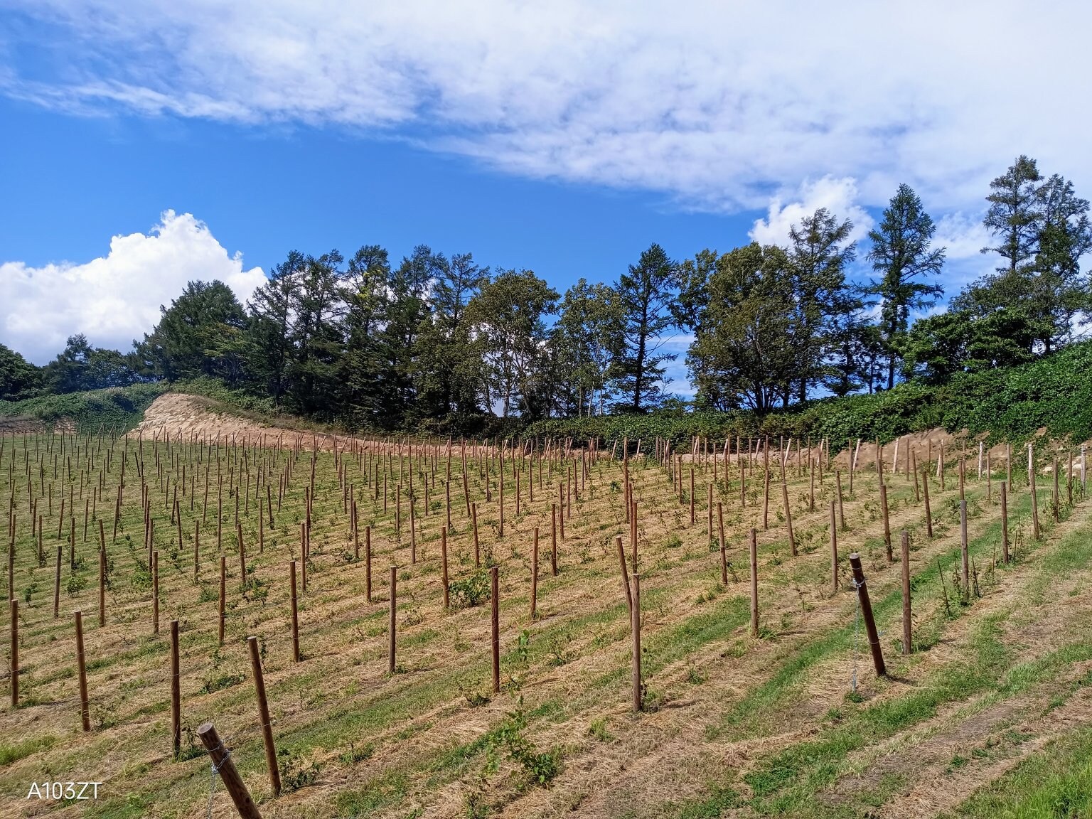 【再履修生用】2025年（令和7年）　Hokkaido木村秋則自然栽培農学校　受講チケット
