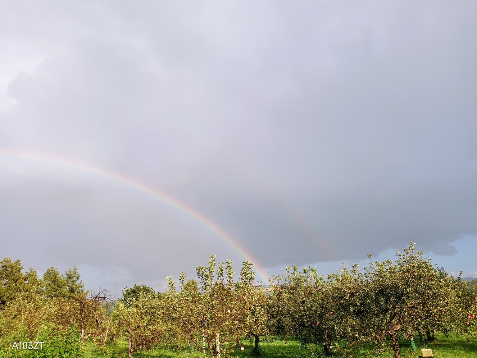 【再履修生用】2025年（令和7年）　Hokkaido木村秋則自然栽培農学校　受講チケット