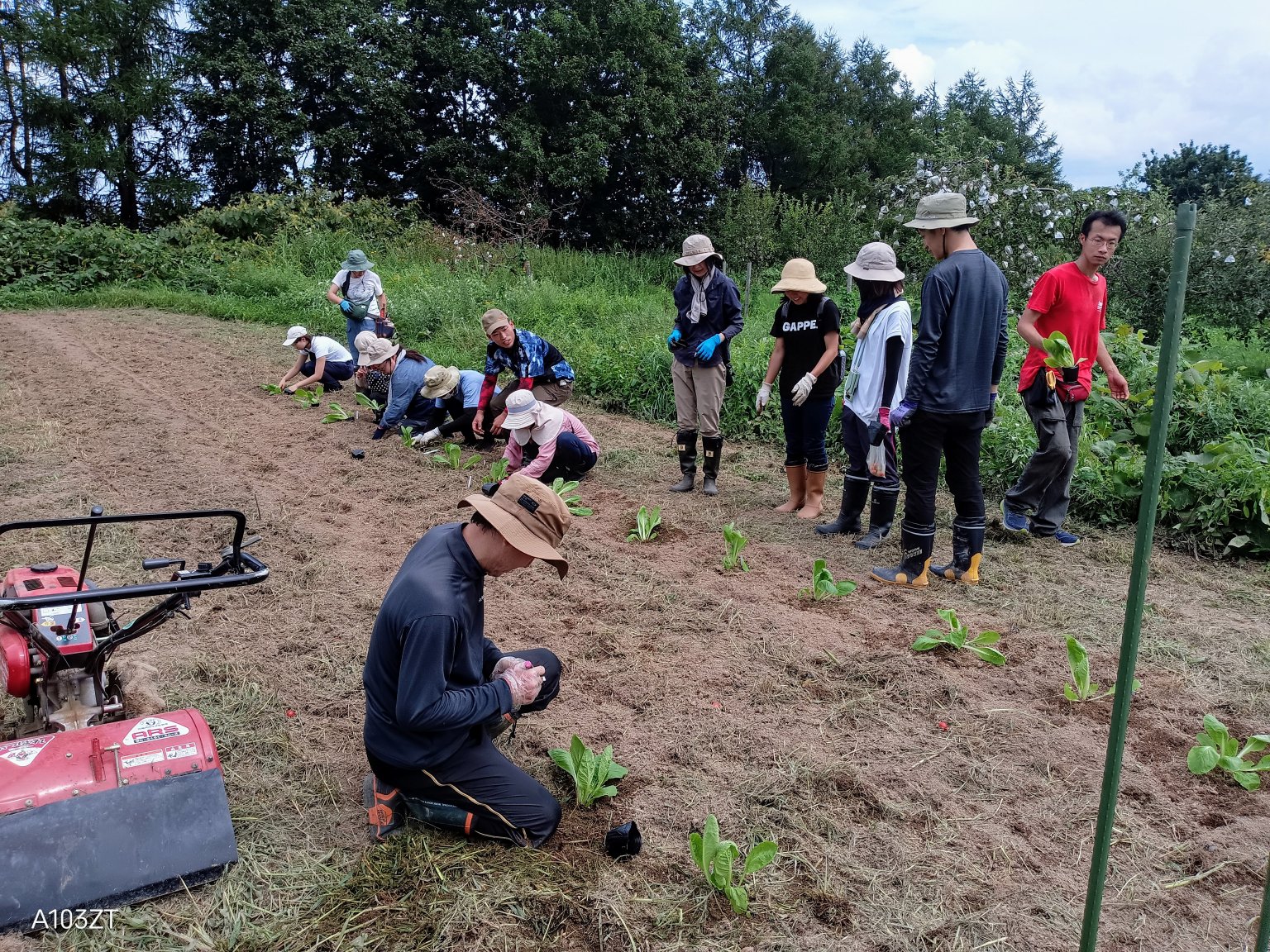 【再履修生用】2025年（令和7年）　Hokkaido木村秋則自然栽培農学校　受講チケット