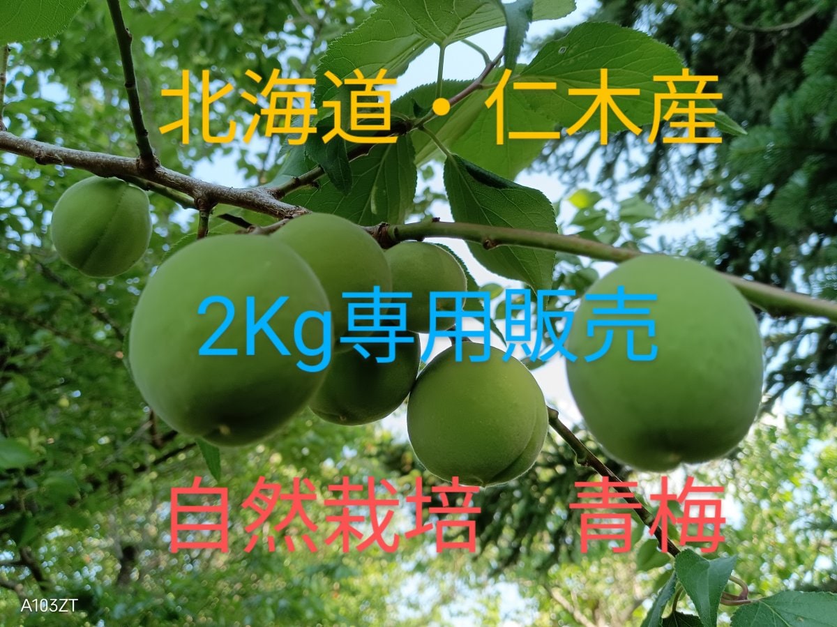 Hokkaido木村秋則自然栽培農学校