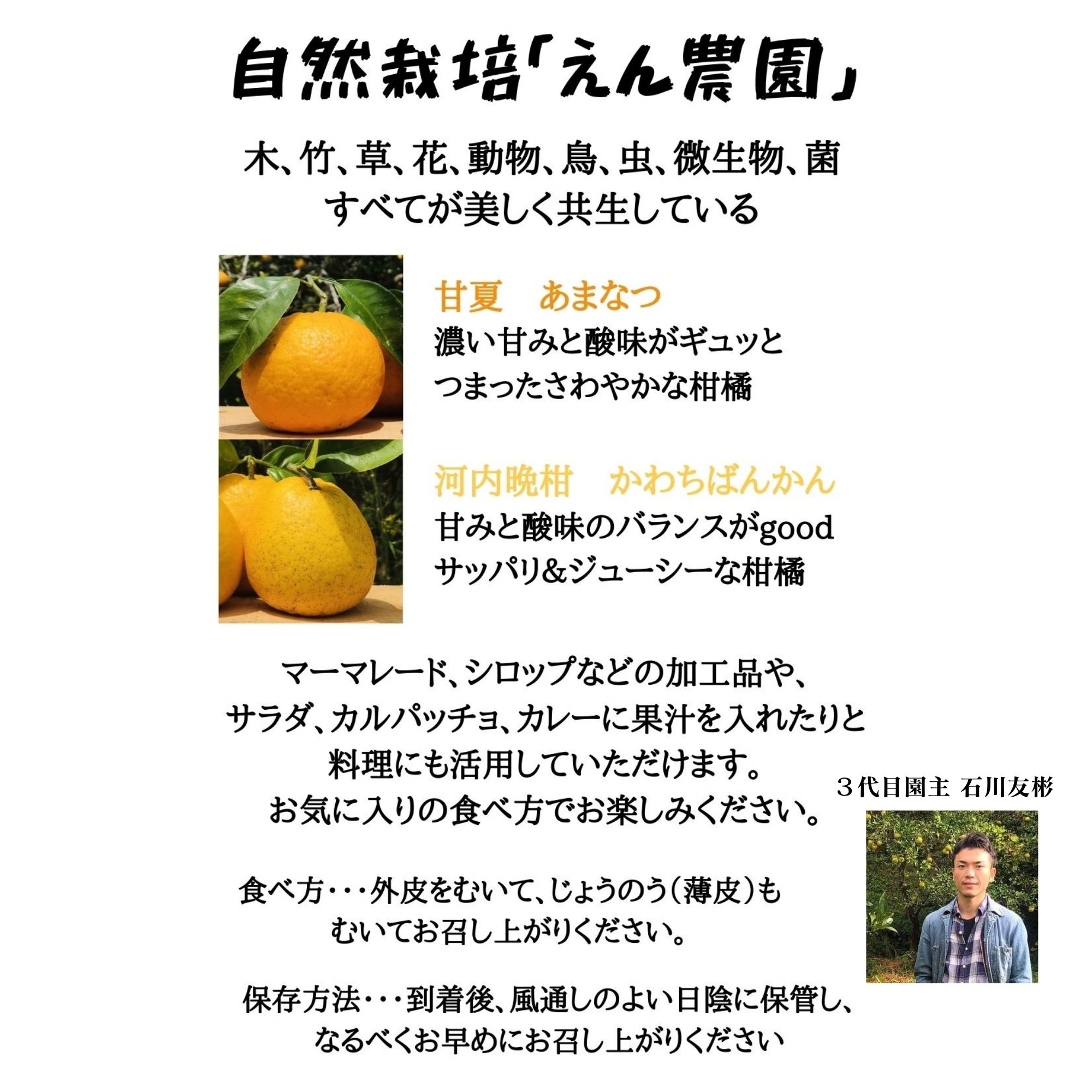 高ポイント】河内晩柑 10kg 自然栽培えん農園産 木成り完熟 自然