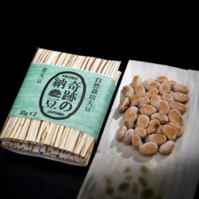 奇跡の納豆 青大豆 3個セット 大粒納豆