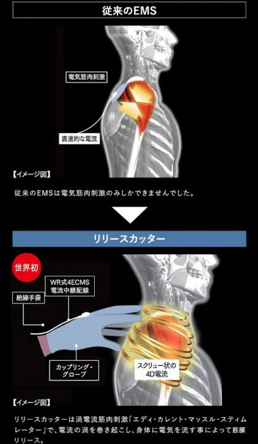 施術券｜耳つぼ＆筋膜リリース（60分）