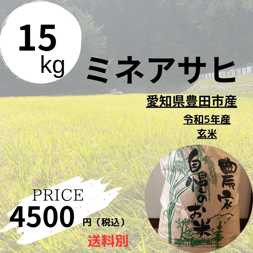 令和5年の玄米　愛知のお米　ミネアサヒ15キロ 愛知県豊田市産 ミネアサヒ 15kg 玄米 令和5年産
