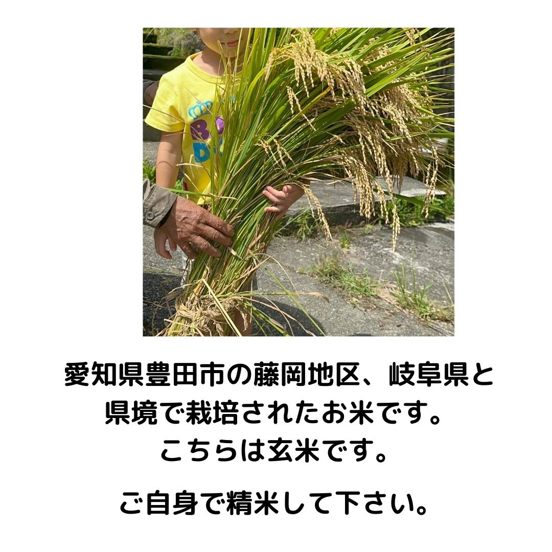 令和5年の玄米　愛知のお米　ミネアサヒ15キロ 愛知県豊田市産 ミネアサヒ 15kg 玄米 令和5年産