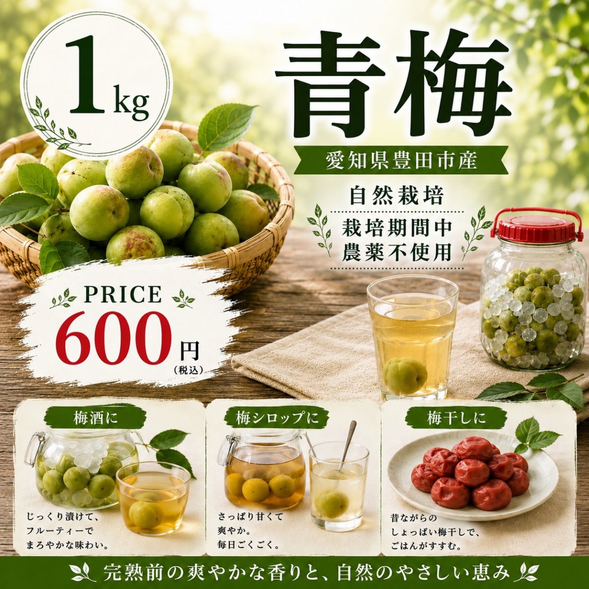 自然栽培青梅 南高梅1キロ