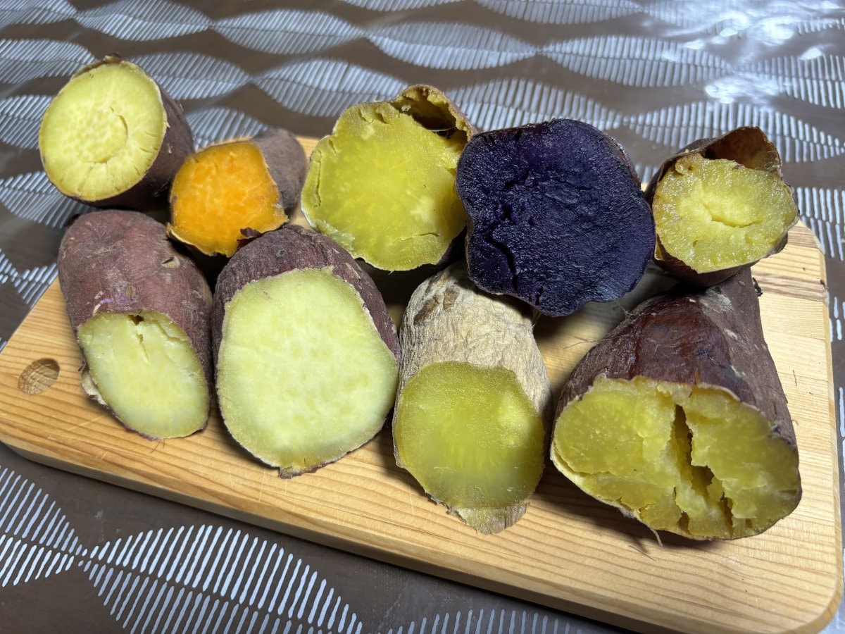 【予約商品です。11月上旬から発送！】【規格外】由栗いも入り★さつまいも７品種食べ比べセット