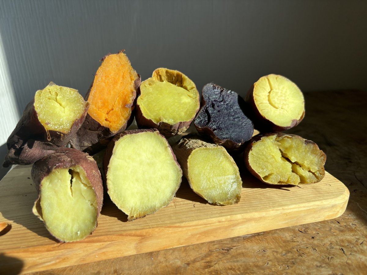 【おすすめ！】さつまいも４品種食べ比べセット