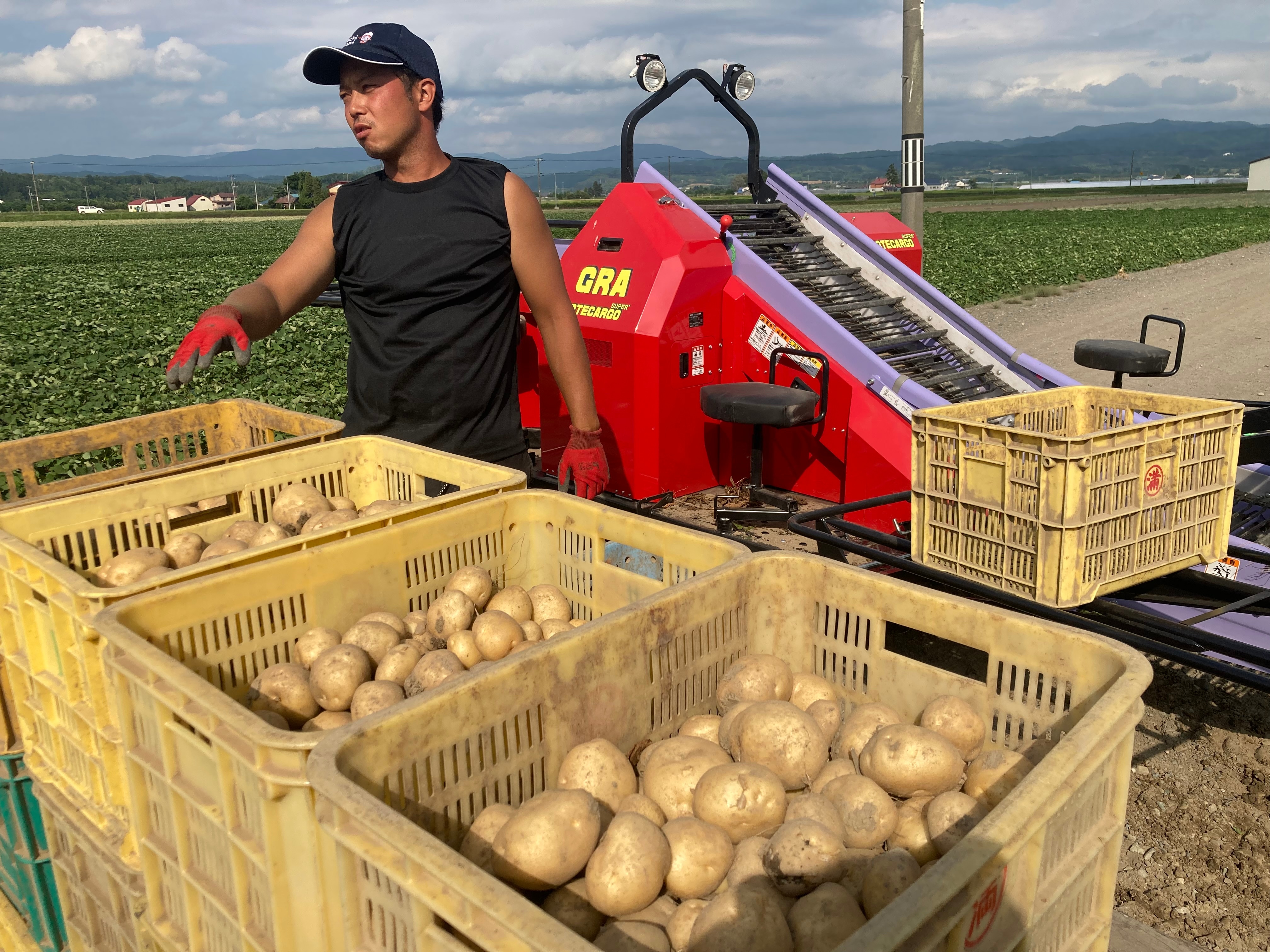 特大じゃがいも(2L以上)キタカムイまたはさやか 10kg 新じゃが