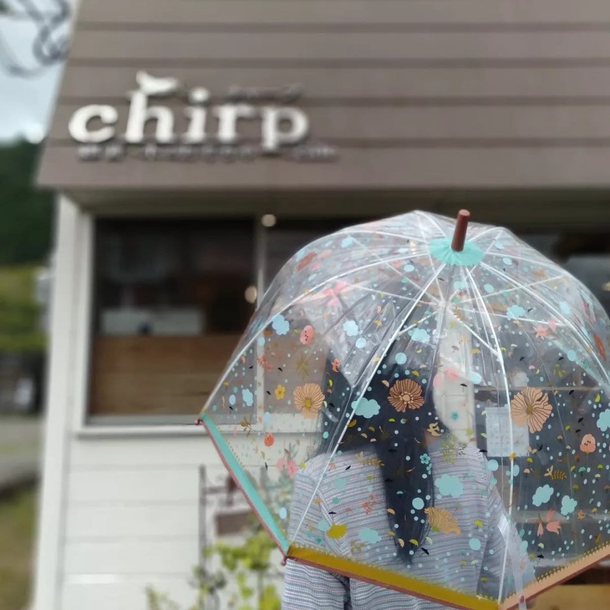 【店頭受取専用】アンブレラ　リトルフラワーズ　ビニール傘　レディース　大人用