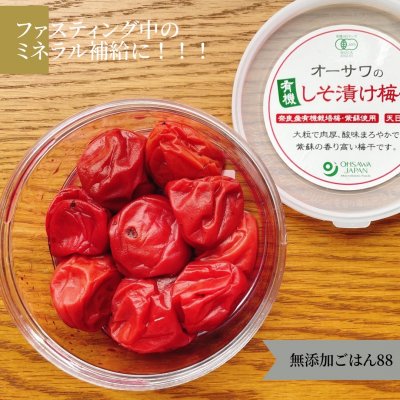 【梅干し】オーサワの有機しそ漬け梅干し｜無添加・オーガニック