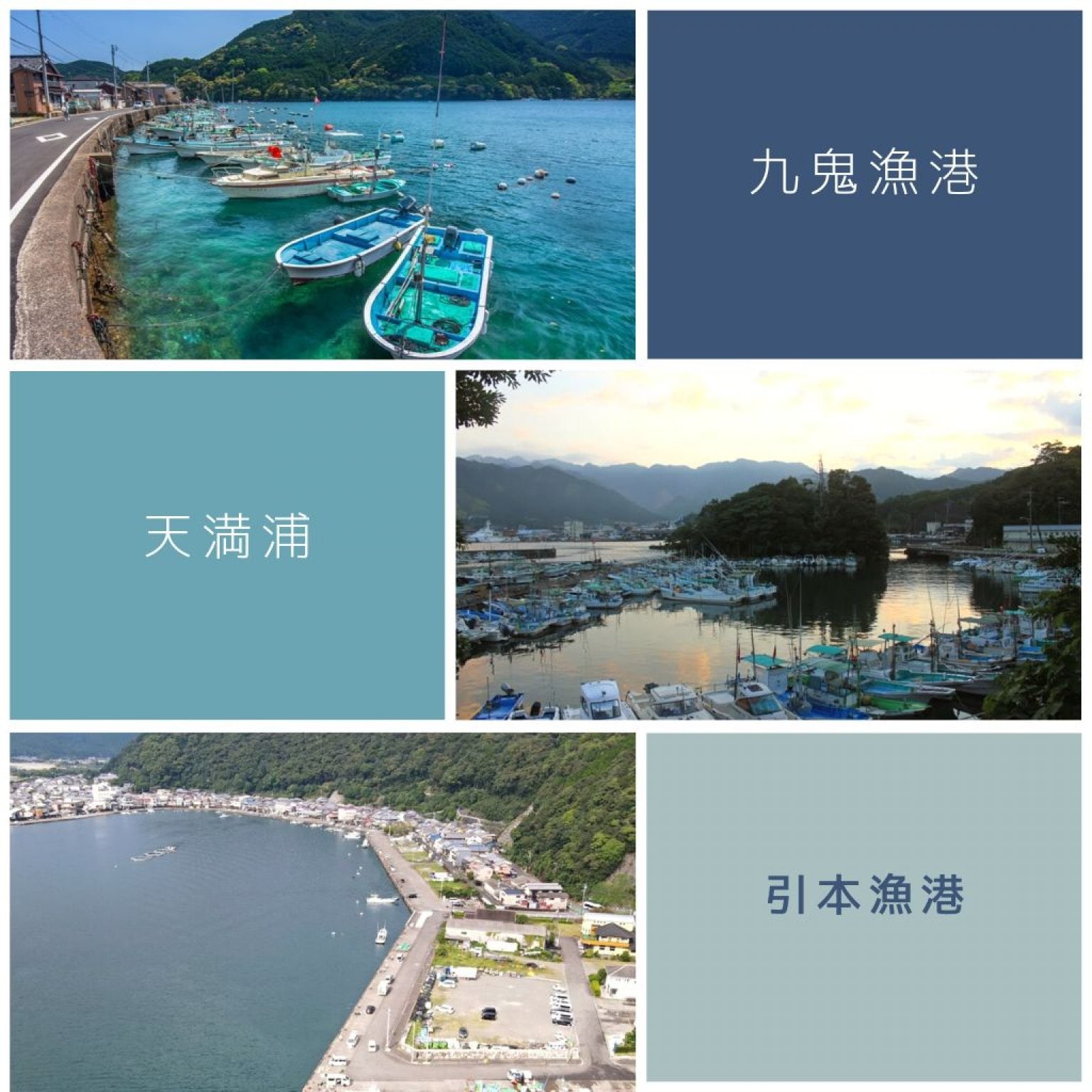 「ほんじつのさかな」東紀州の地魚が楽しめる　地魚海鮮丼 