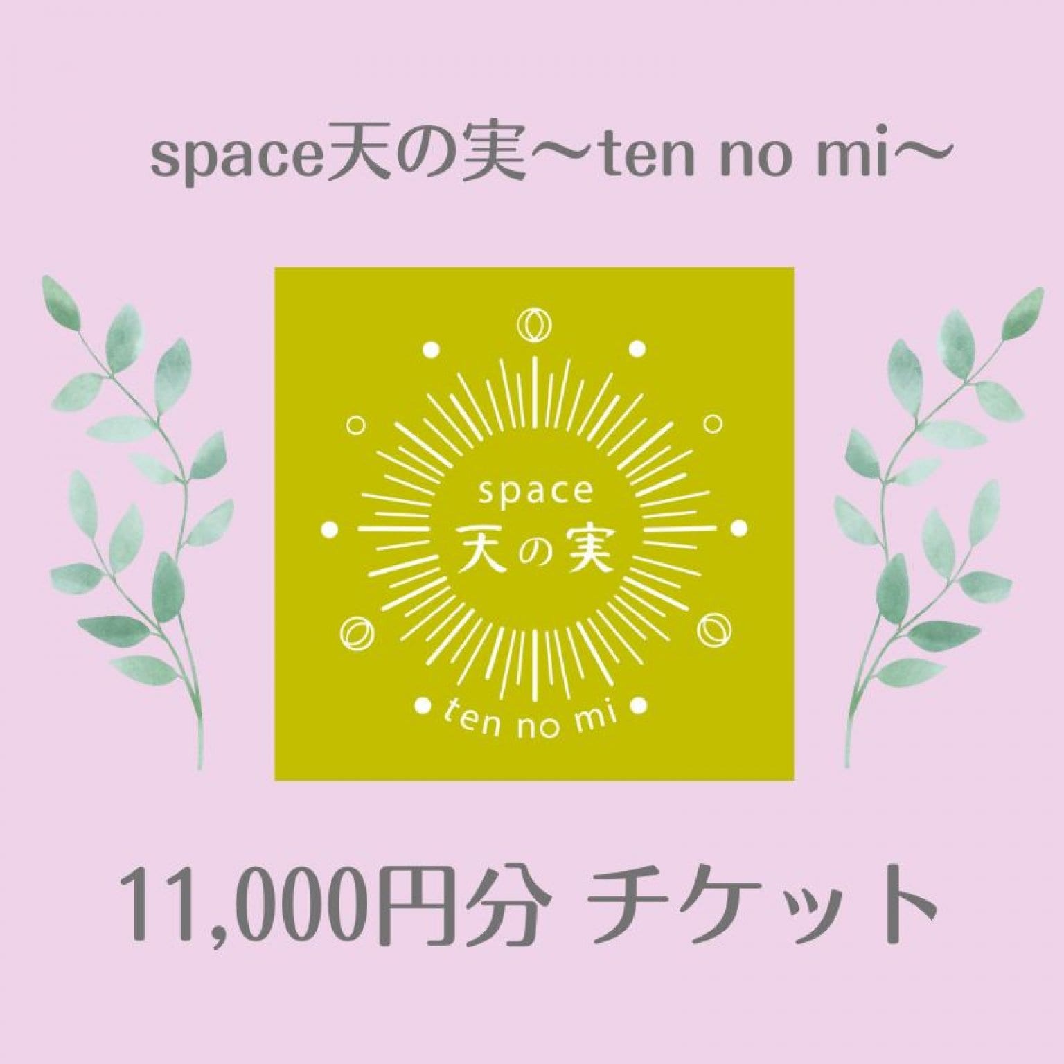 天の実11,000円チケット