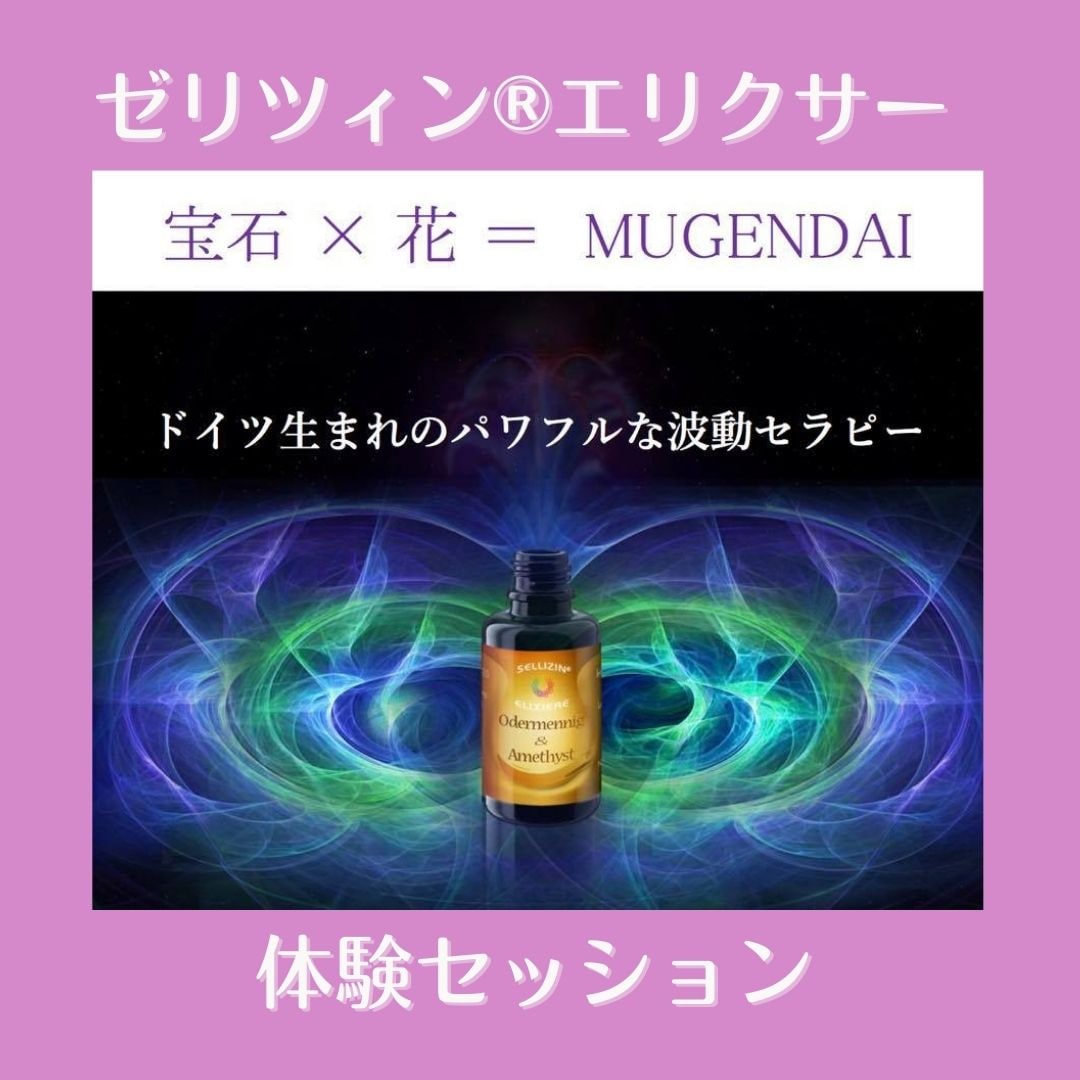 ゼリツィン®エリクサー体験セッション - 本来の自分に導く心身調整