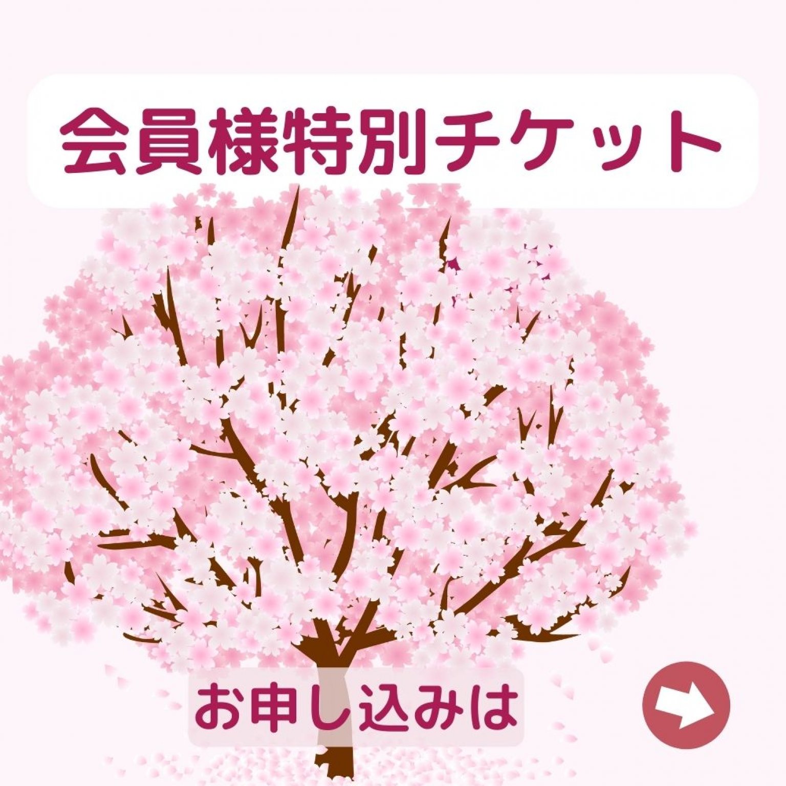 ZOOMで株式セミナー9月