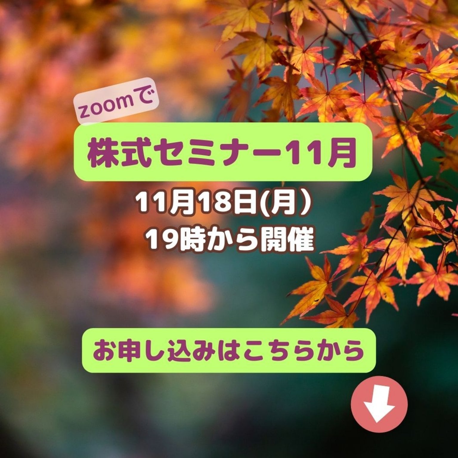 ZOOMで株式セミナー1月