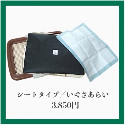 【ぐんマルシェ限定】シートタイプ/いぐさあらい