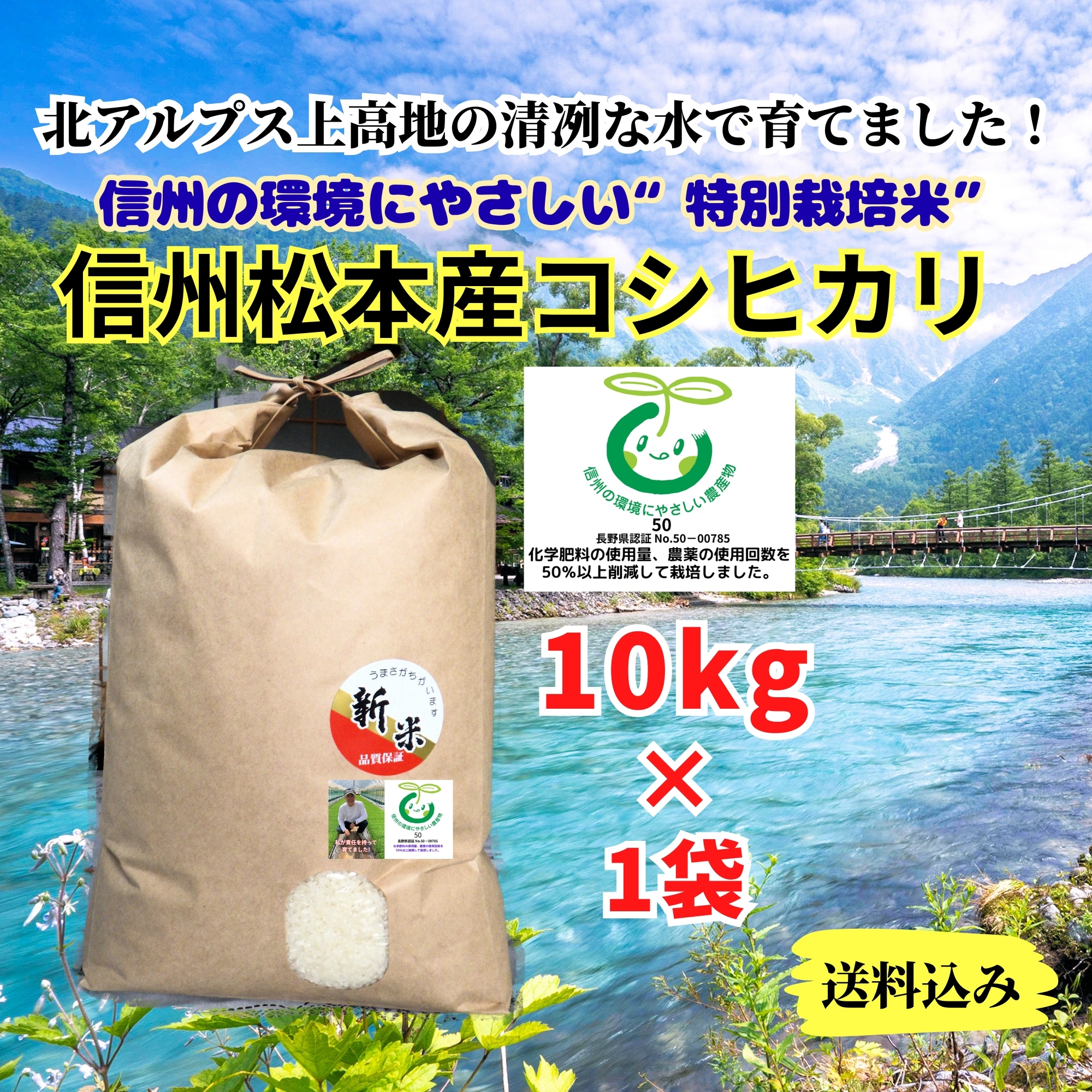 令和7年産 無農薬新米コシヒカリ おすそ分け 令和7年産 無農薬新米コシヒカリ おすそ分け
