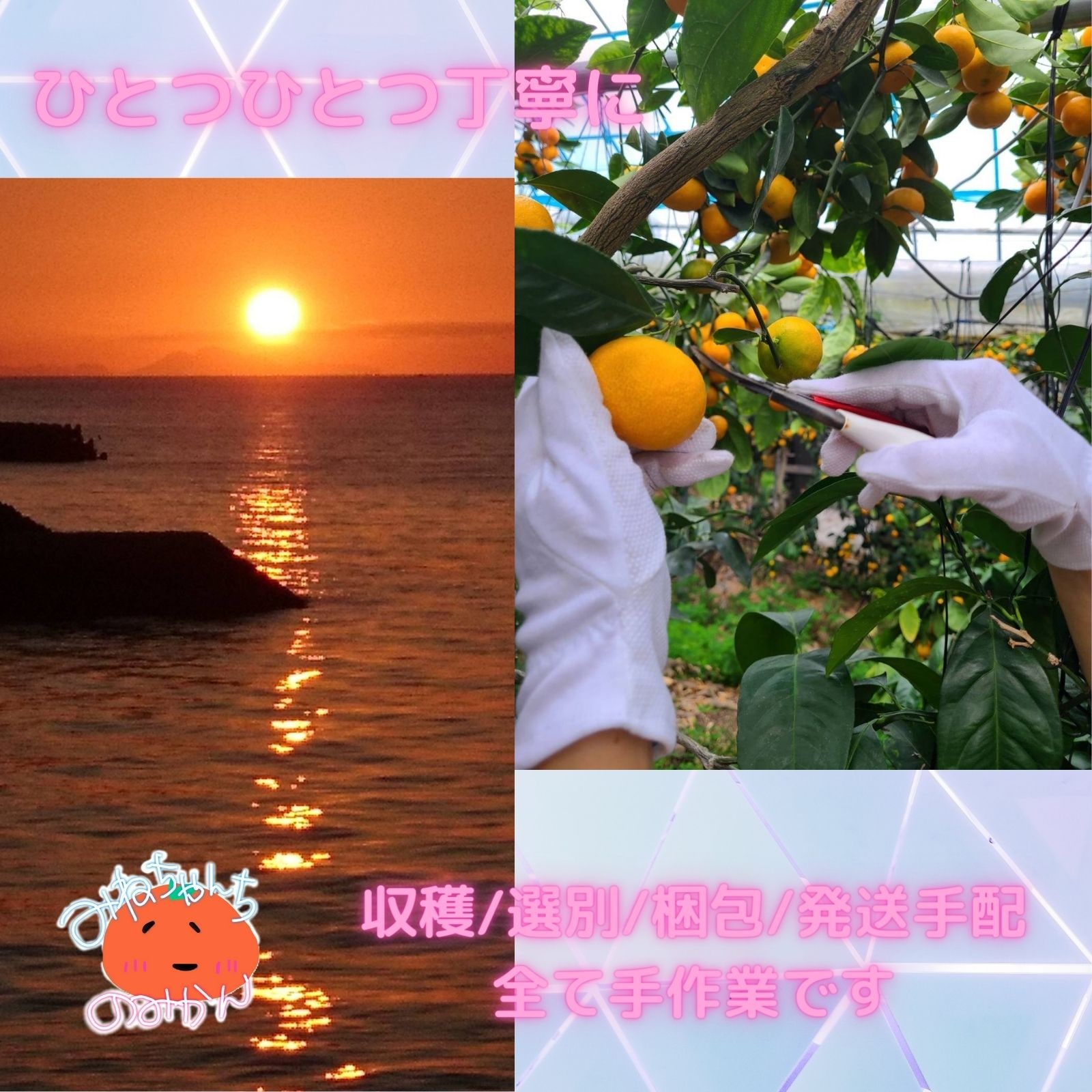 今だけ！高還元！】【峯田農園】無農薬レモン(愛媛県産) 約4.5kg(約35