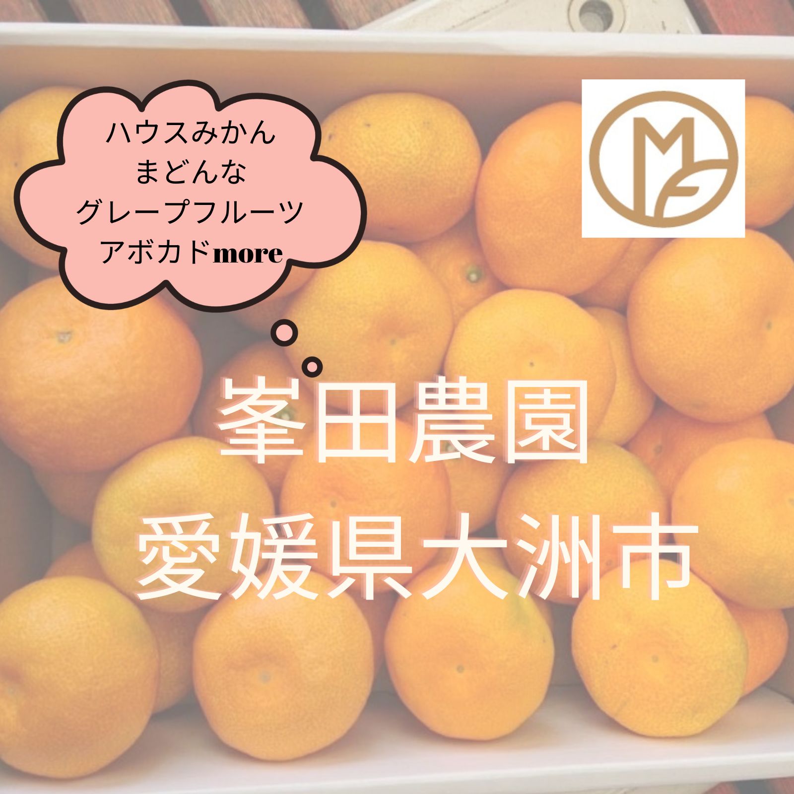 ann　愛媛　完全無農薬　最高級　レモン　15キロ 今だけ！高還元！】【峯田農園】無農薬レモン(愛媛県産) 約4.5kg(約35
