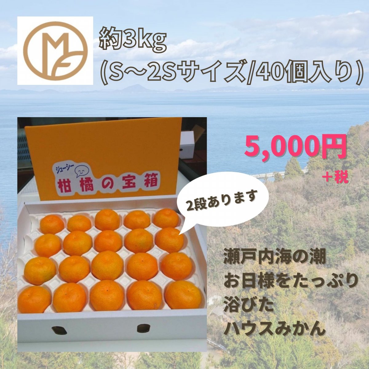 峯田農園】 ハウスみかん 約3kg(S〜2Sサイズ40個)入り