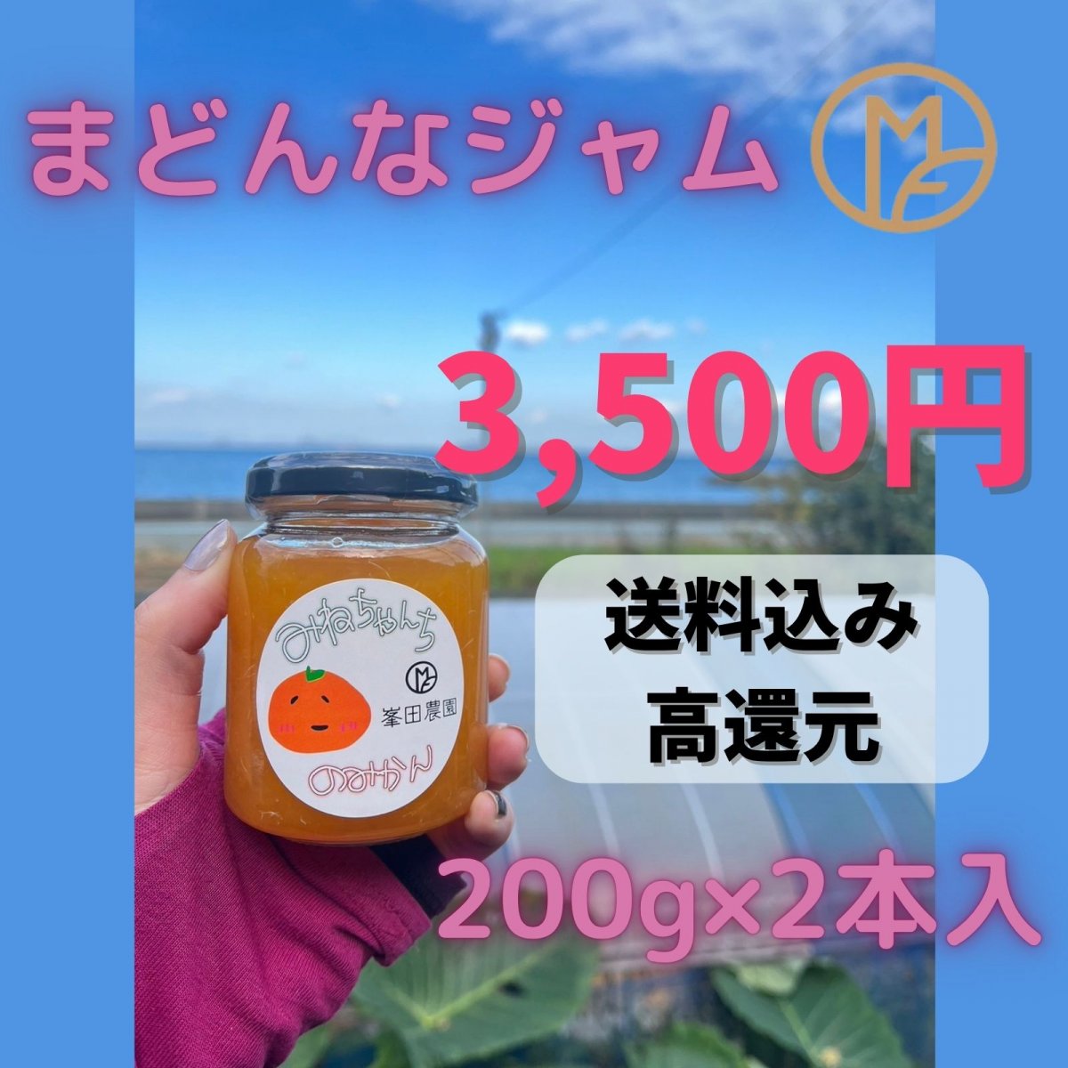 高還元【峯田農園】愛媛県産　まどんなジャム　200g入×2本