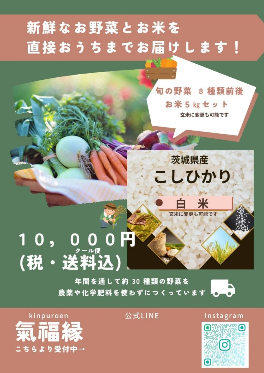 【おすまる限定　送料無料！！】産地直送受注販売(茨城県潮来市)　野菜(無農薬・化学肥料なし)と白米の詰め合わせセット
