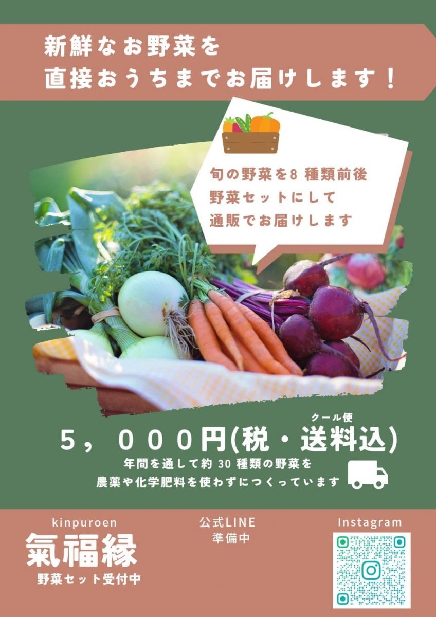 【おすまる限定】産地直送受注販売(茨城県潮来市)　野菜約8種　詰め合わせセット