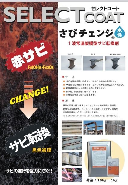 セレクトコートN300 （さびチェンジ） 1kg