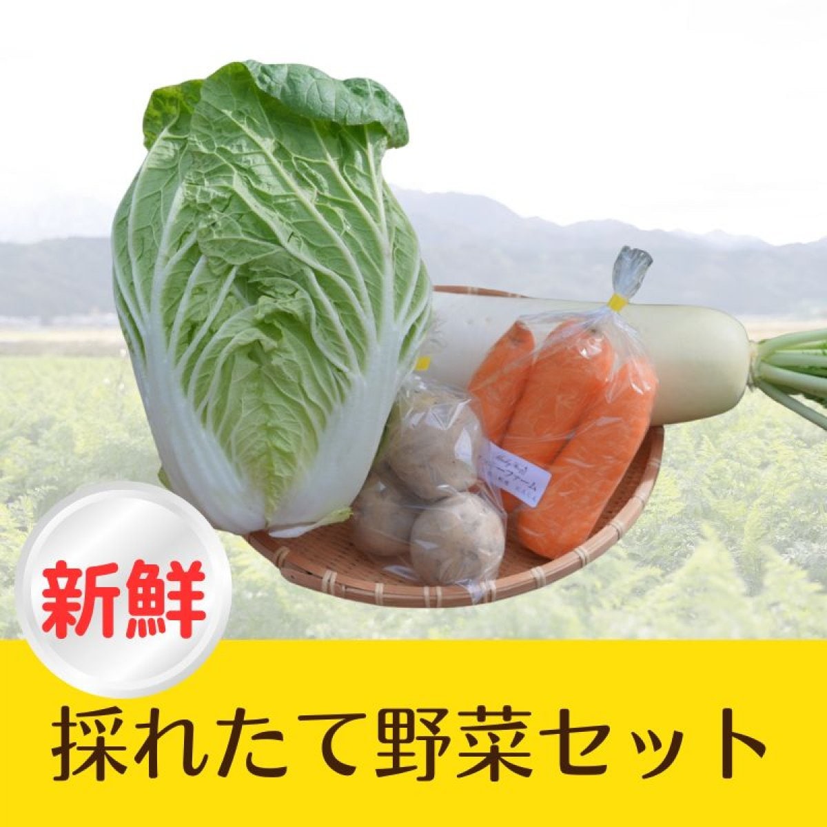 Y様限定
