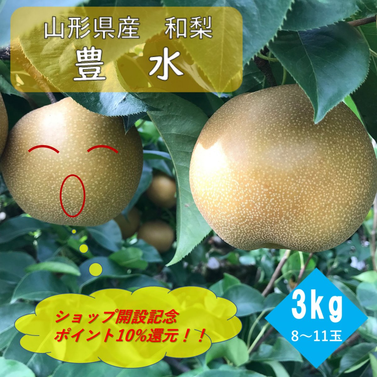 和なし　豊水　8〜11玉　3kg詰め