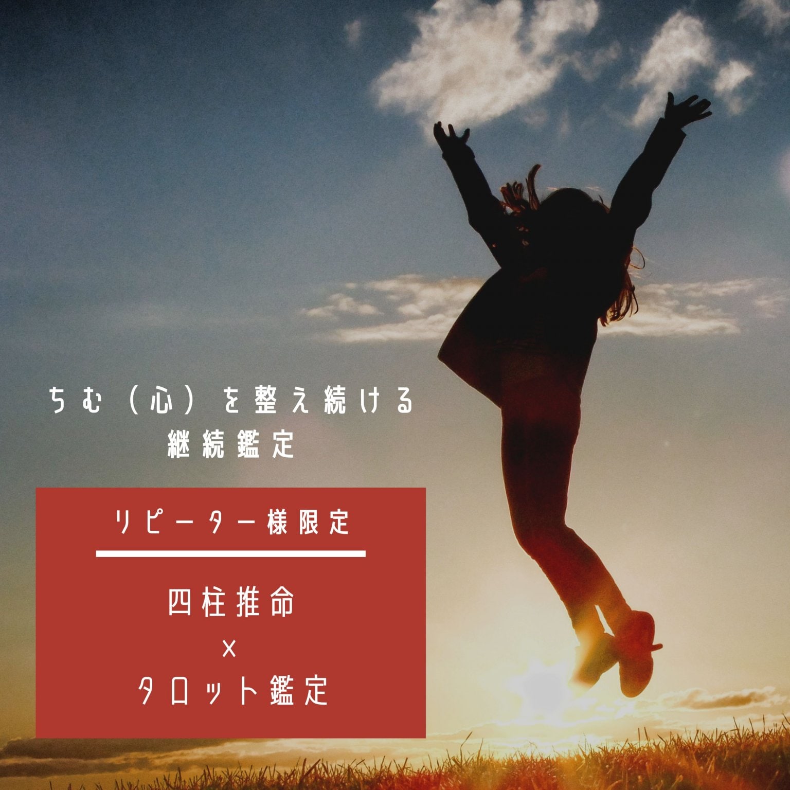＊リピーター様専用＊　ちむ（心）を整え続ける継続鑑定