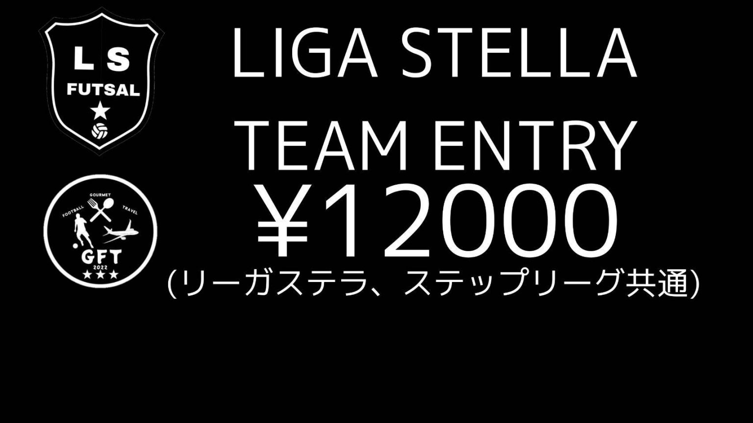 LIGA STELLA  TEAM ENTRY