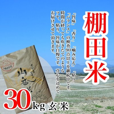 杵築市山香町山香米お米30㎏ 九州大分県産棚田米｜有機肥料のみで育てたこだわりのお米「山香米」