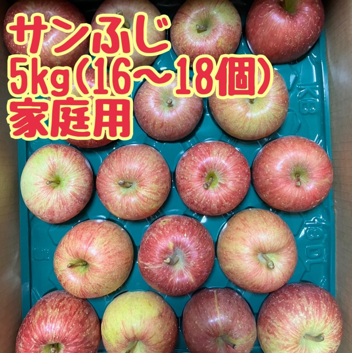 サンふじ5kg(16〜18個) 11月から順次発送！【家庭用】青森県産りんご［送料込み］