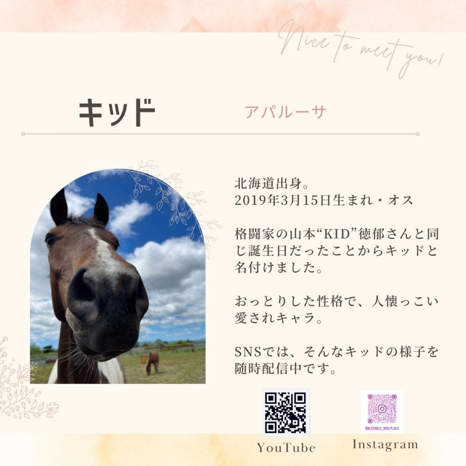 アニマルフレンド