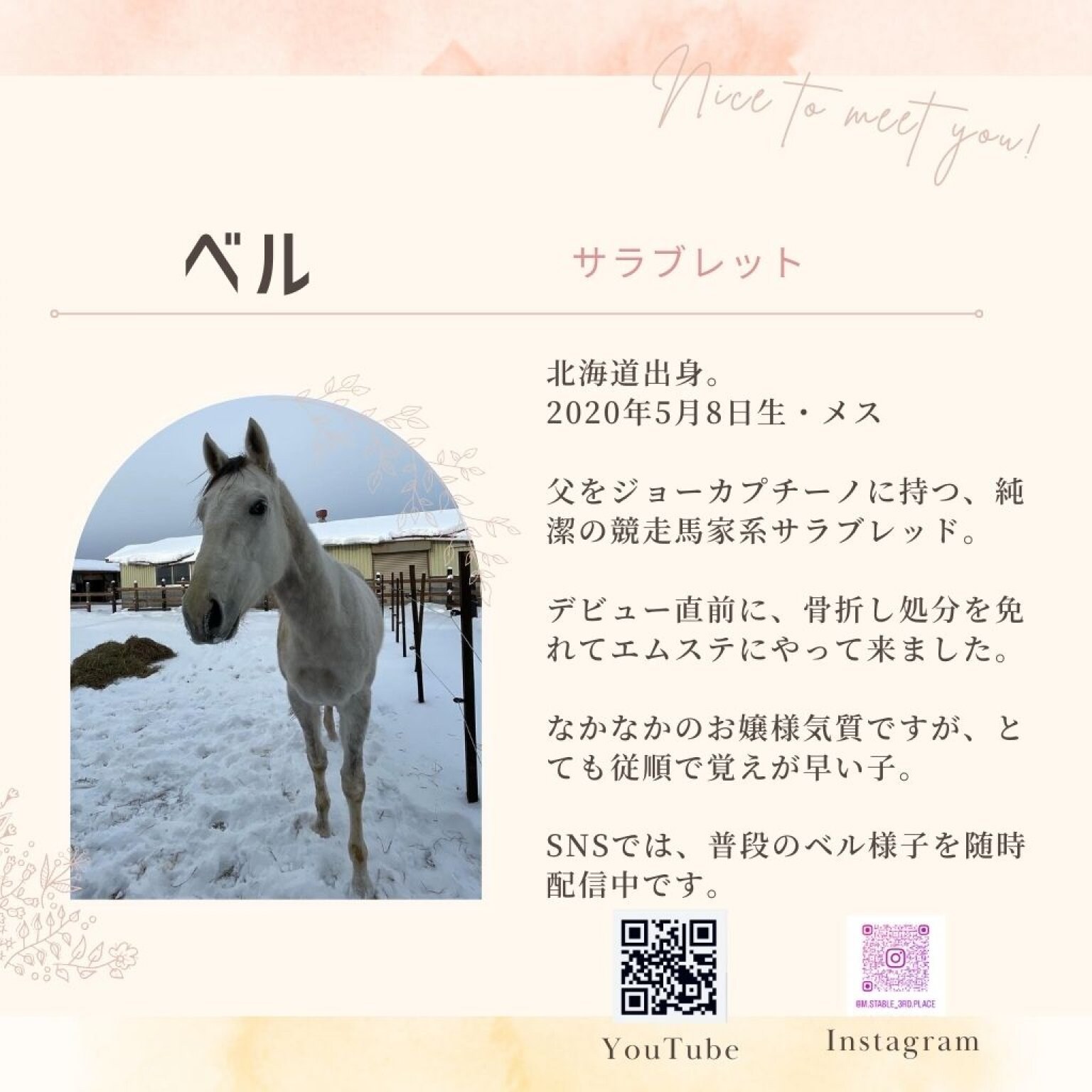 アニマルフレンド