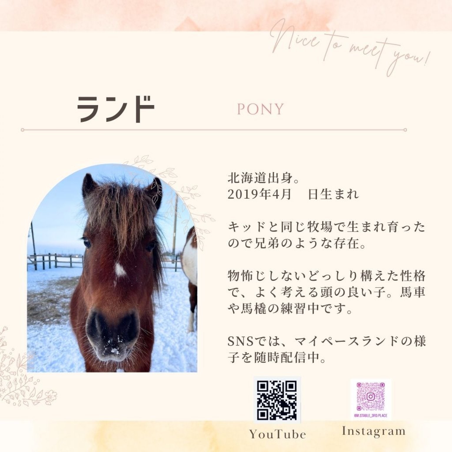 アニマルフレンド