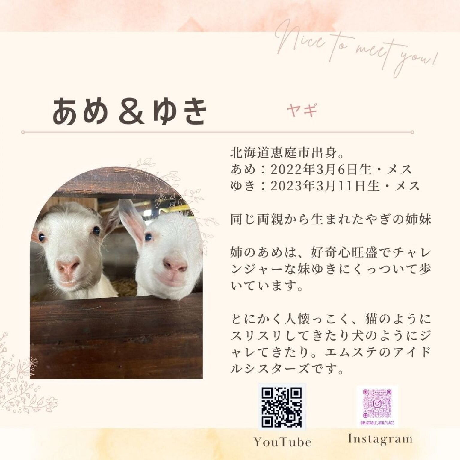 アニマルフレンド