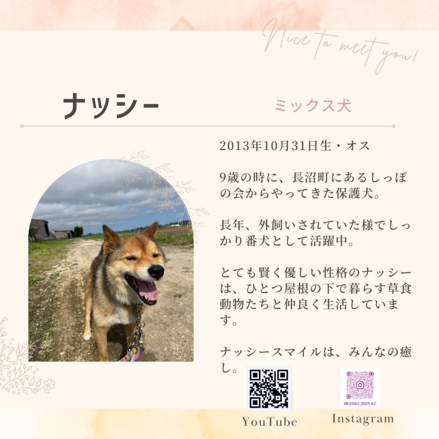 アニマルフレンド