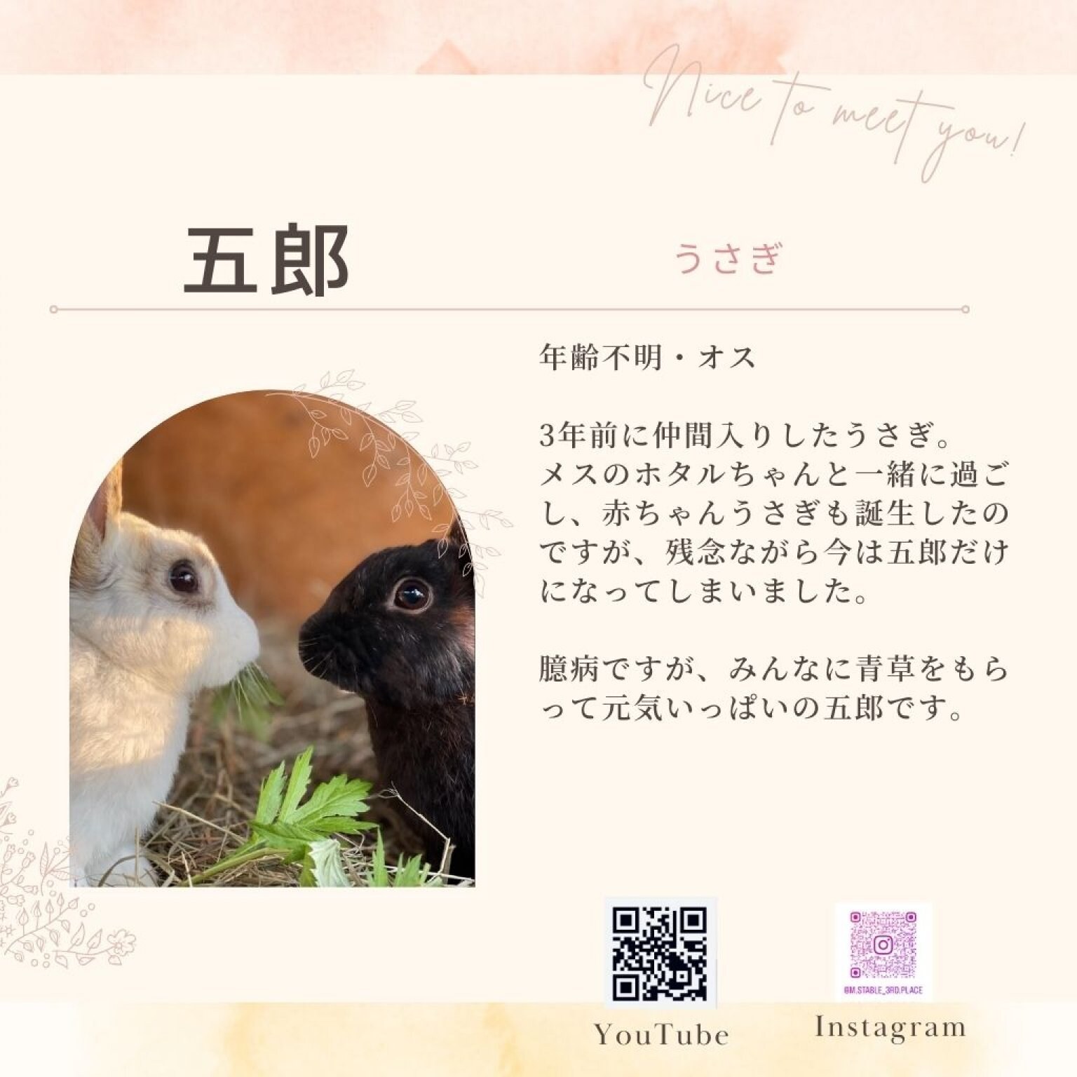 アニマルフレンド