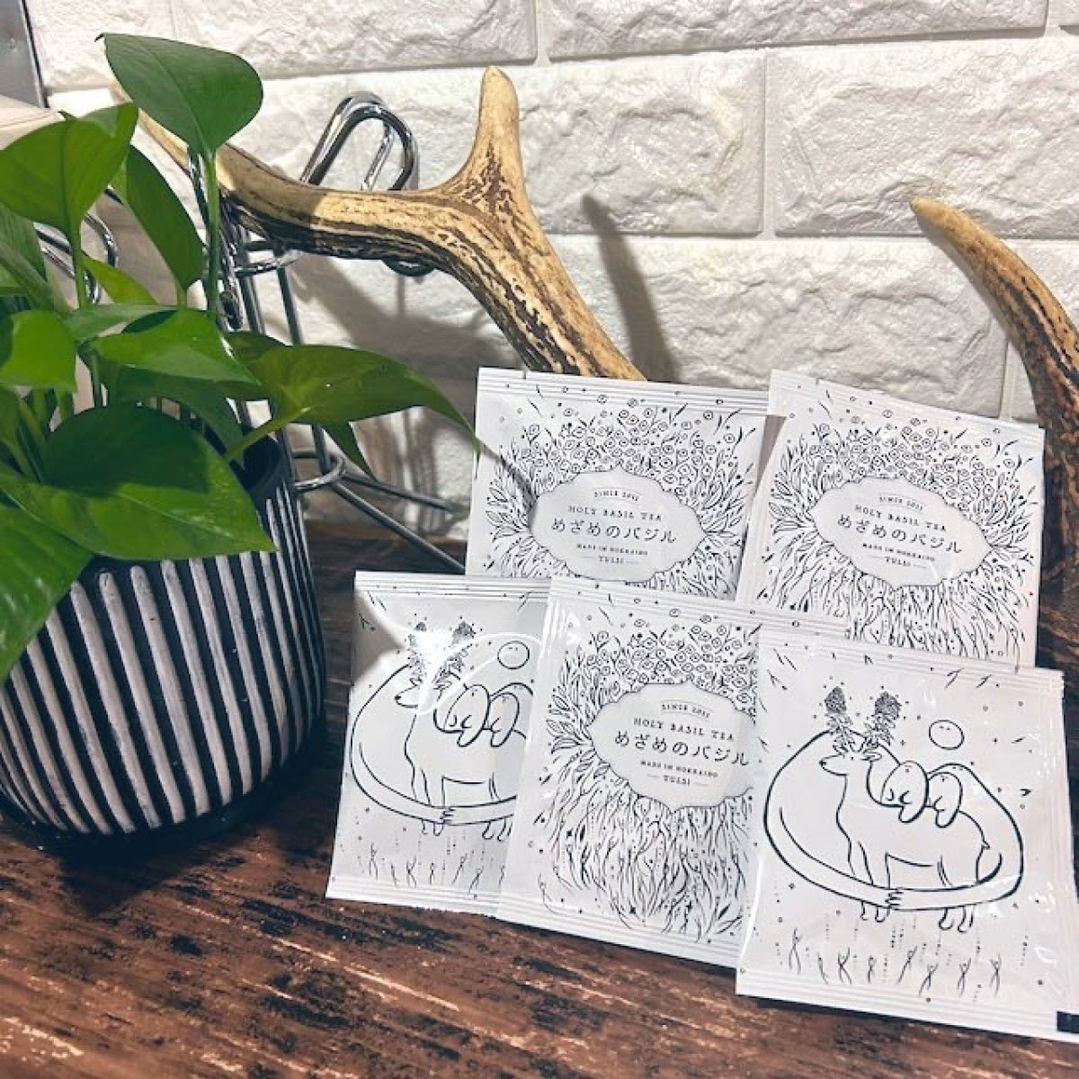【北海道千歳産・送料込】めざめのバジル・ホーリーバジルティー（お試し５パックセット）