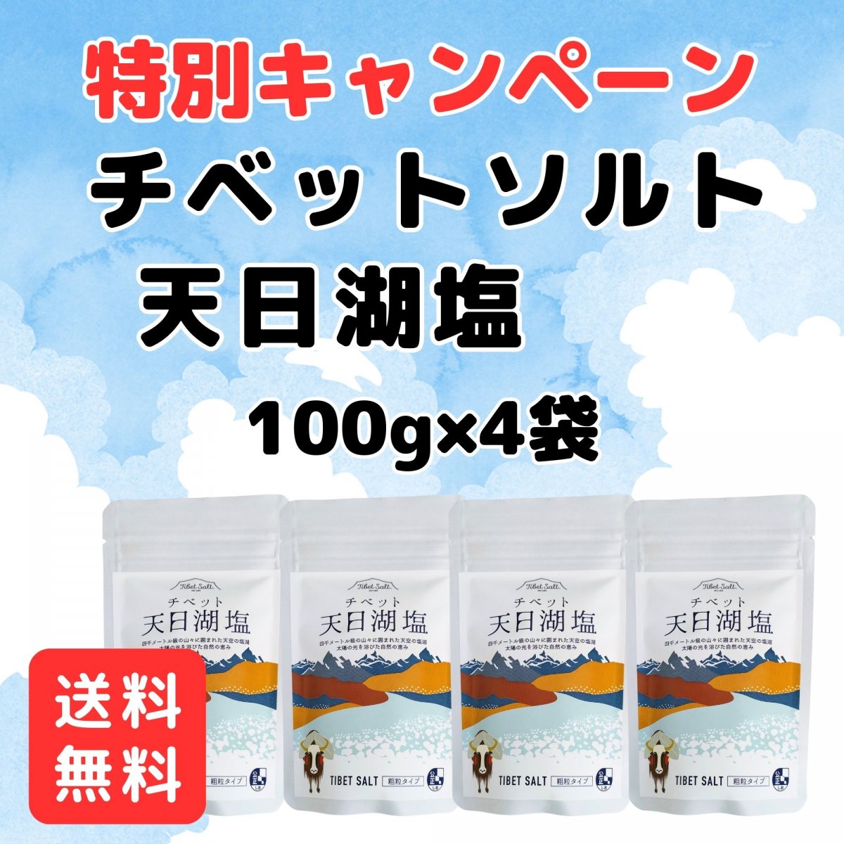 [送料無料]チベットソルト　チベット天日湖塩　チャック付き　100g×4袋セット　※クリックポストで発送いたします