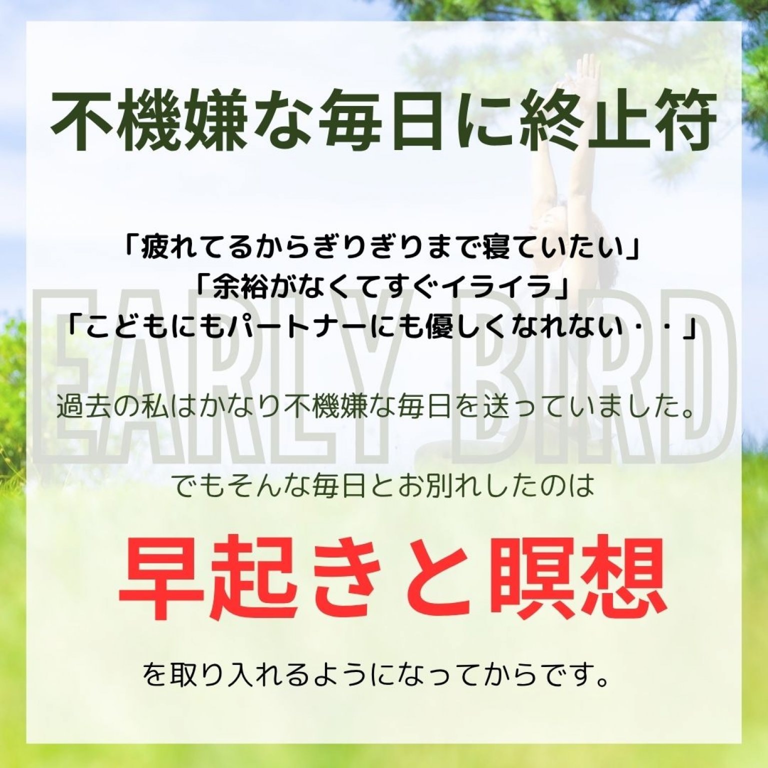 Early Bird シンプルプラン