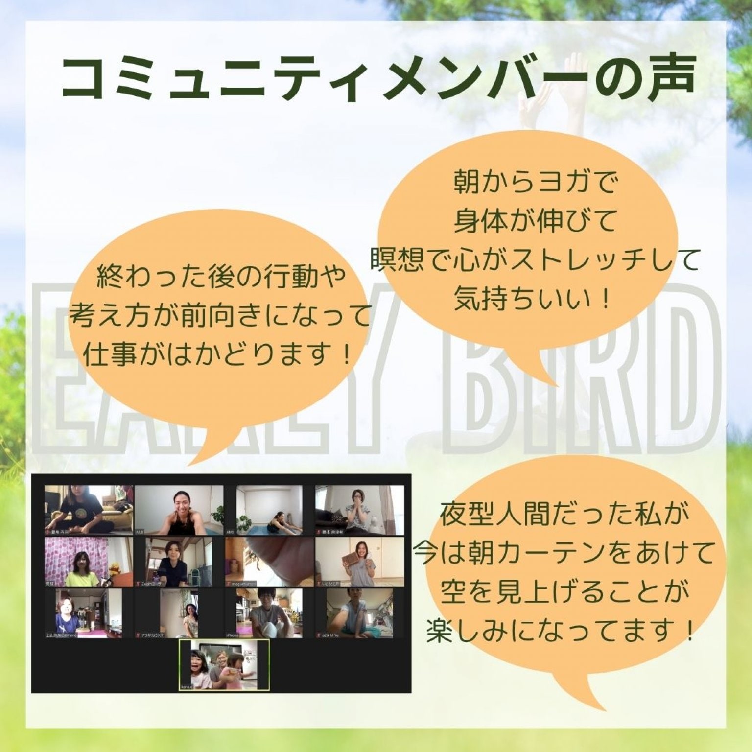 Early Bird シンプルプラン