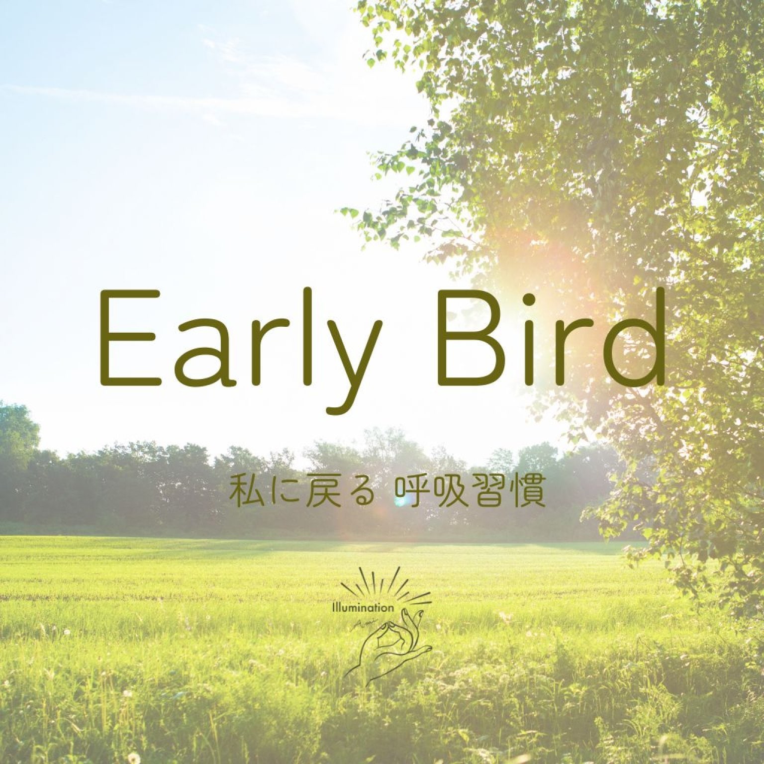Early Bird シンプルプラン
