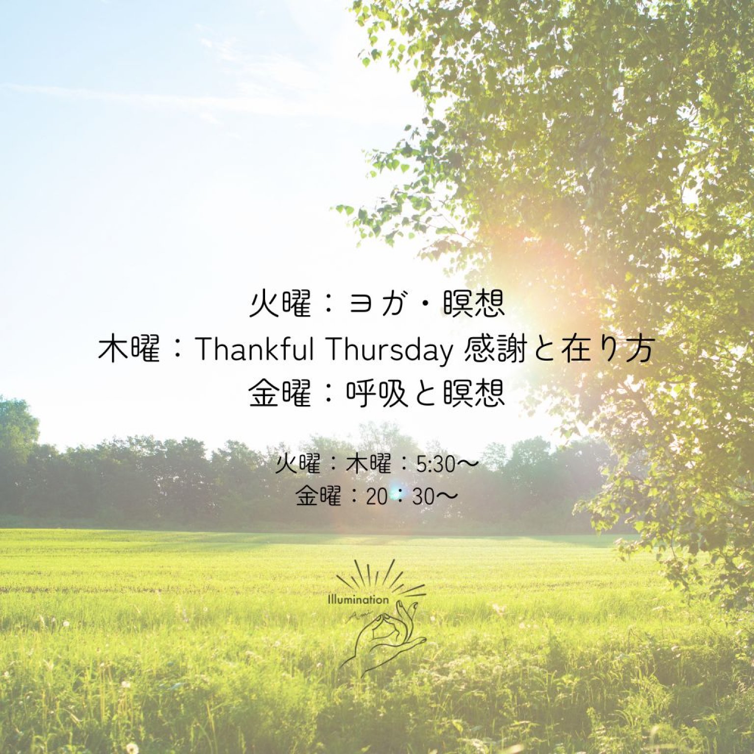 Early Bird シンプルプラン