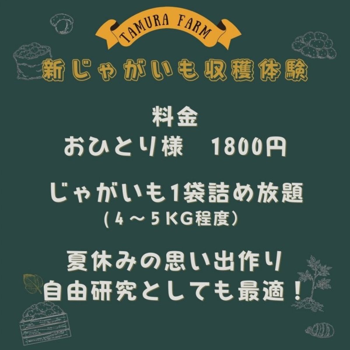 2022年8月6日(土)開催 新じゃがいも収穫体験　