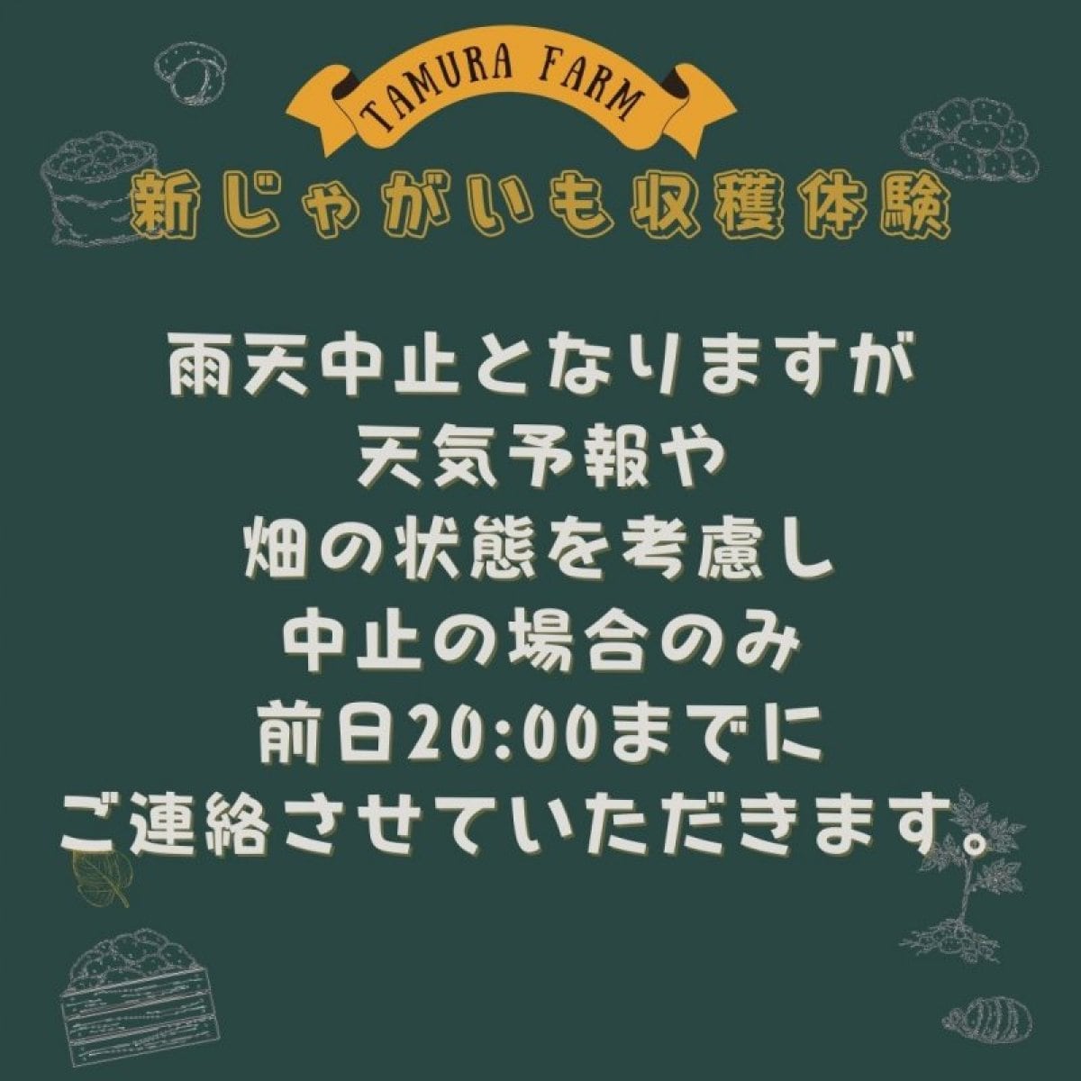 2022年8月6日(土)開催 新じゃがいも収穫体験　