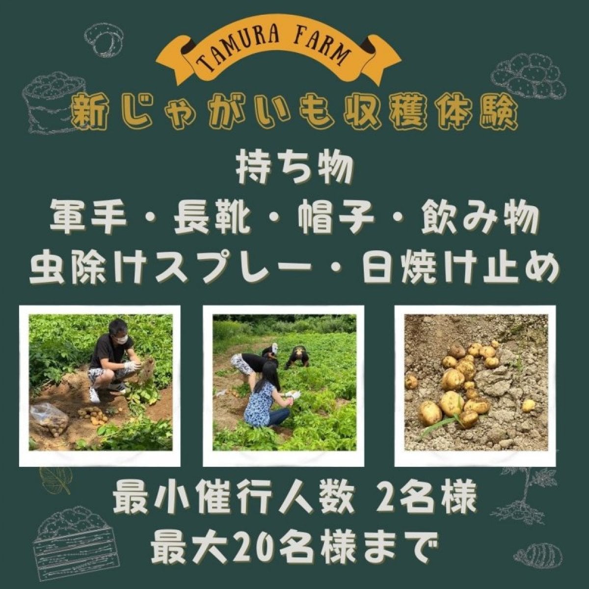 2022年8月6日(土)開催 新じゃがいも収穫体験　